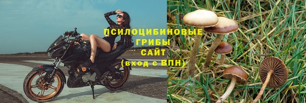 PSILOCYBIN Арсеньев