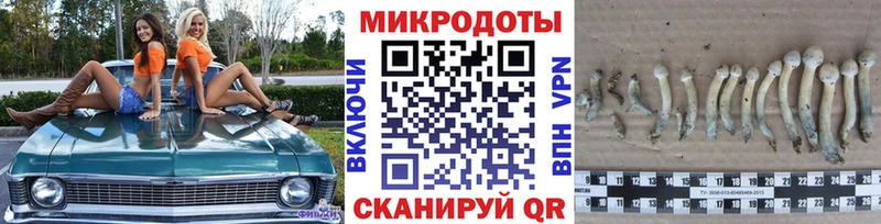 купить  сайты  Катав-Ивановск  Галлюциногенные грибы MAGIC MUSHROOMS 